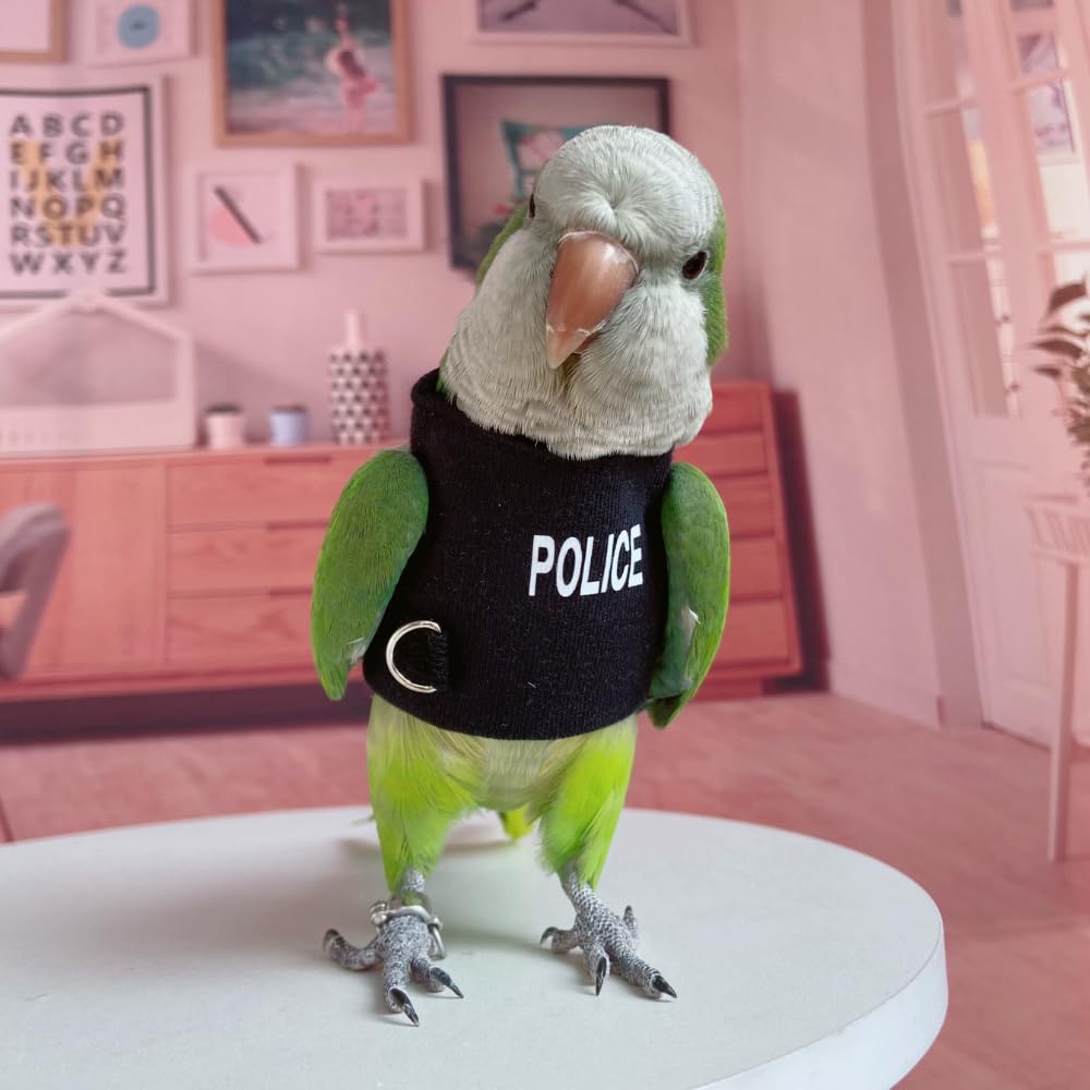 Bird Costume Diaper Flight Suit - Blue Quaker Parrot Cosplay Hoodie for Parakeets, Cockatiels & Sun Conures | Small Pet Apparel Without Diaper | Perfect for Photo Shoots, Bird Shows & Halloween Costumes