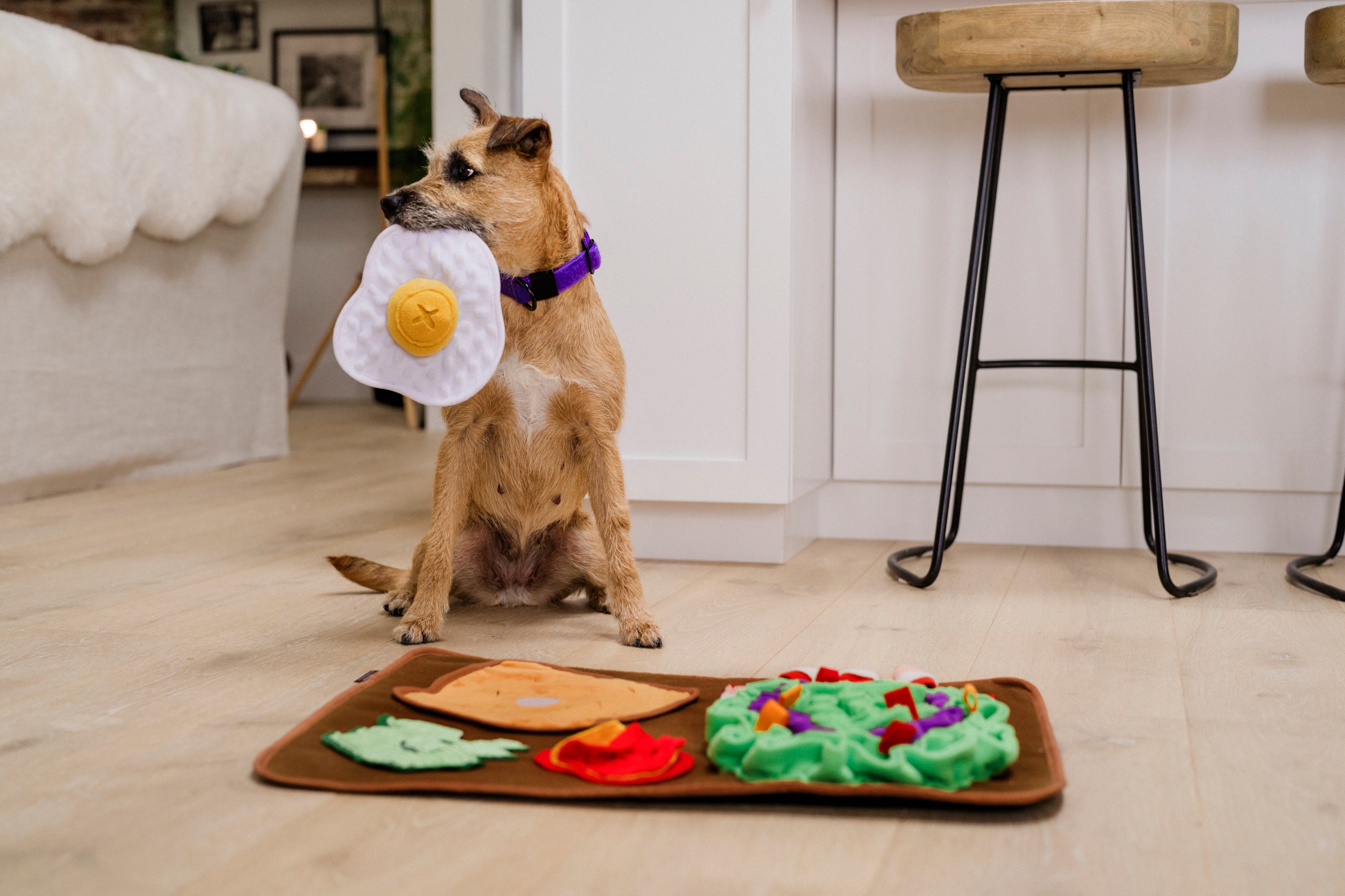 Delicious Sunrise Scented Dog Mat | Pet P.L.A.Y. - Calming Aromatherapy for Anxious Pets, Perfect for Crates, Beds & Travel