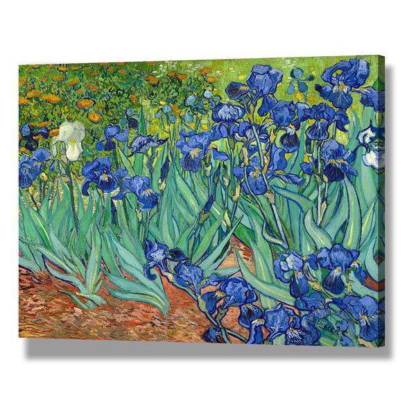 Irises in the Garden