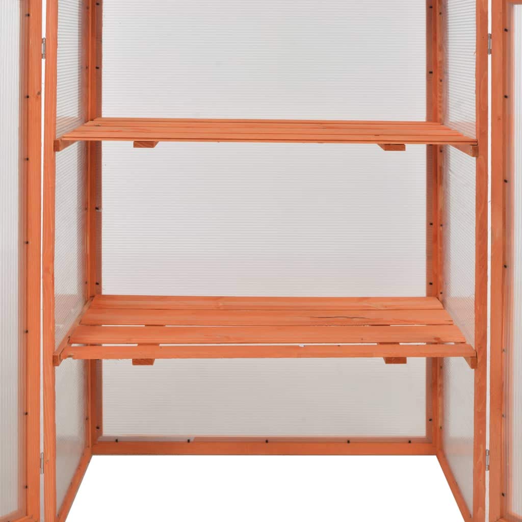 FAMIROSA 29.5x18.5x42.9 Inch Wooden Greenhouse for Plants - Perfect for Indoor Gardening, Backyard, Patio & Balcony Plant Growing