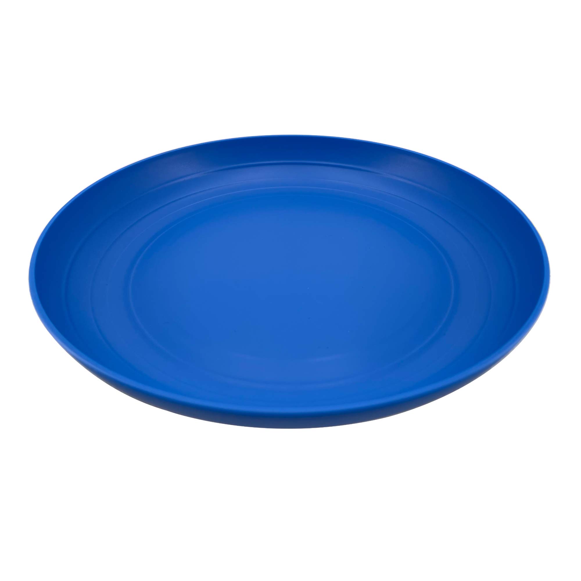 AOYITE 8 Inch Reusable Plastic Plates Set of 6 - Unbreakable BPA-Free Dinner Plates, Dishwasher & Microwave Safe for Kids, Kitchen, Party, Camping & Outdoor Picnics