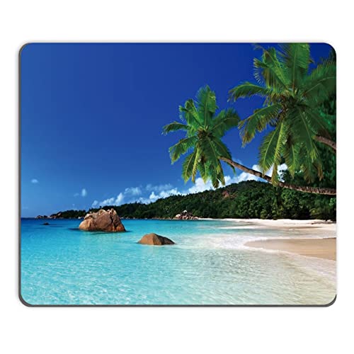 Palm Tree Beach