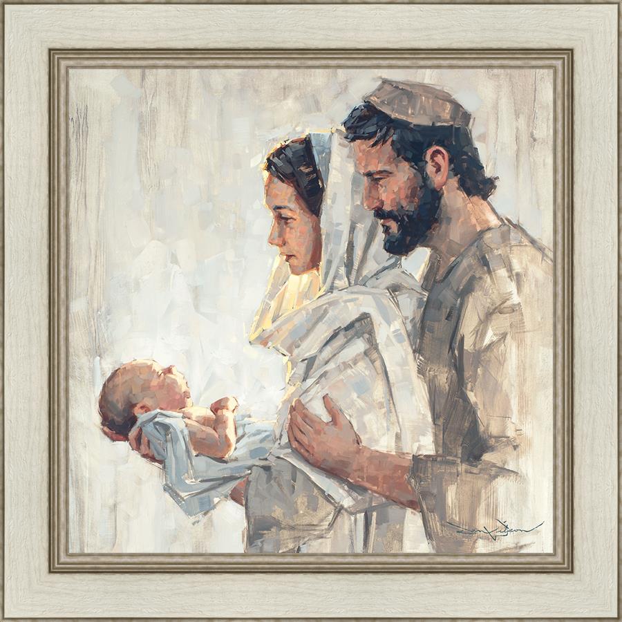 A Light Unto Us by Dan Wilson - Inspirational Christian Book for Daily Devotionals & Bible Study