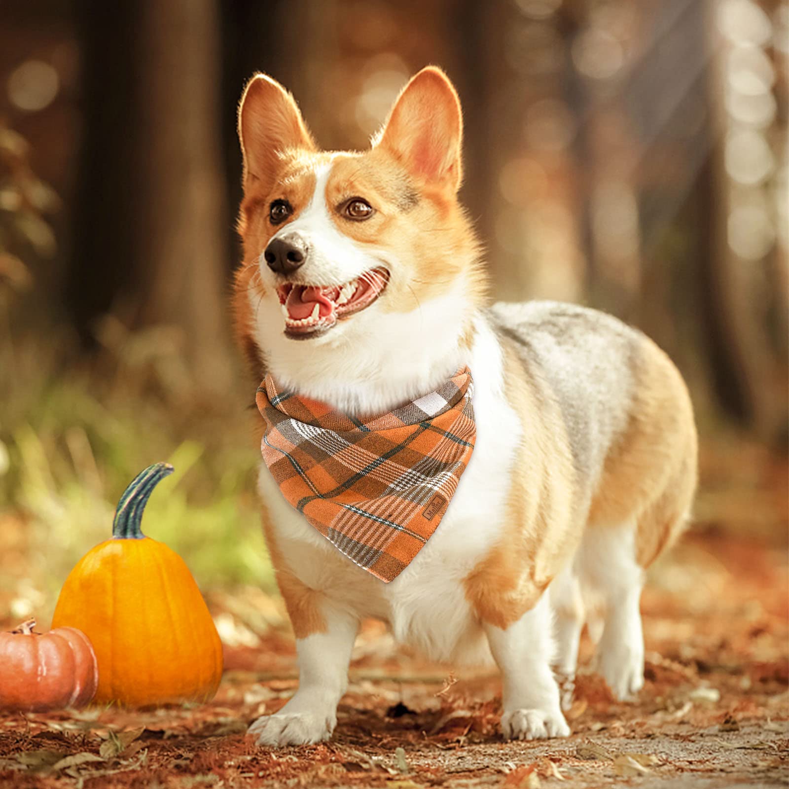 Malier 2 Pack Thanksgiving Dog Bandanas - Classic Buffalo Plaid Pet Scarves for Small to XL Dogs | Fall Dog Accessories for Boys & Girls | Perfect for Thanksgiving Photos, Autumn Walks & Holiday Pet Costumes
