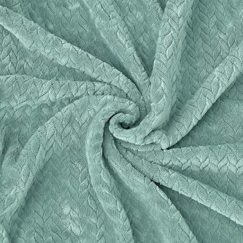 Eggshell Blue