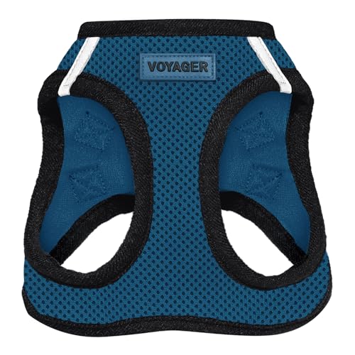 Harness (Blue/Black Trim)
