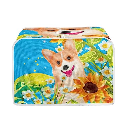 Corgi Dog