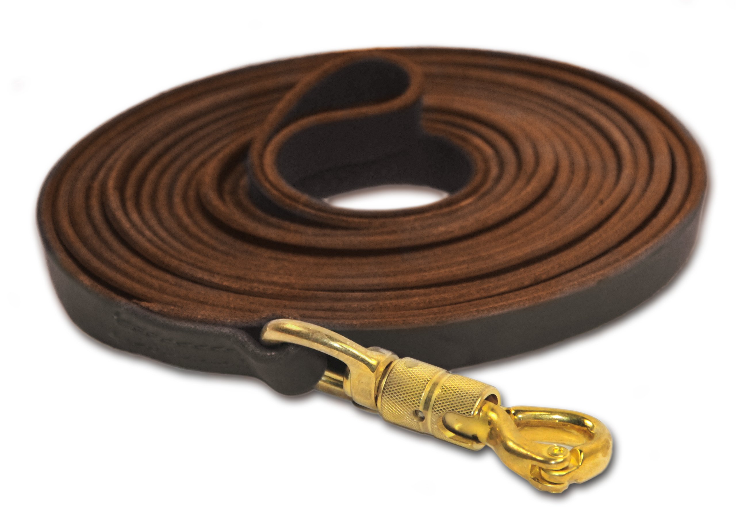 Dean and Tyler Heavy Duty Stitched Tracking Dog Leash - 40ft Long, 3/4
