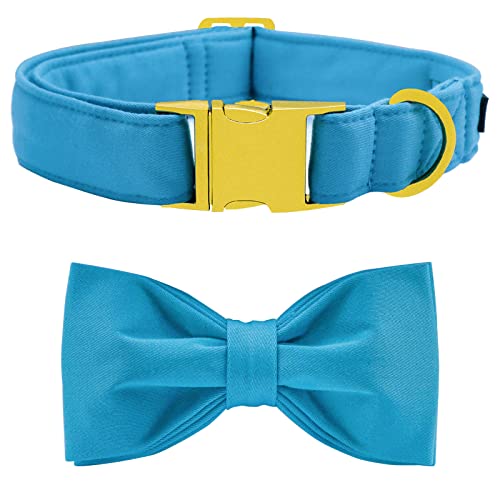 suit-sky blue