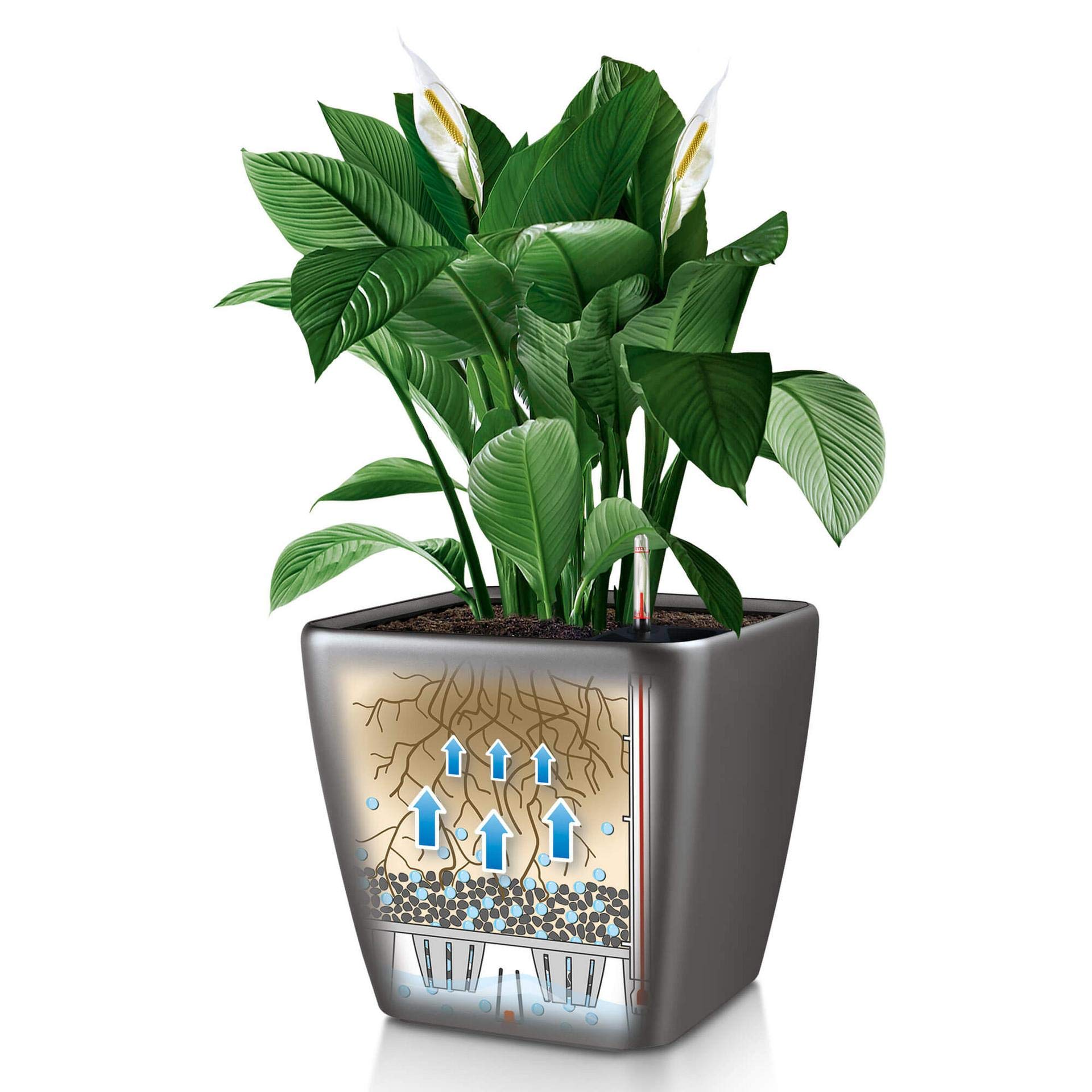 Lechuza Quadro Premium LS 50 Self-Watering Planter - Taupe High Gloss (Model 16285) for Indoor Plants, Home & Office Decor