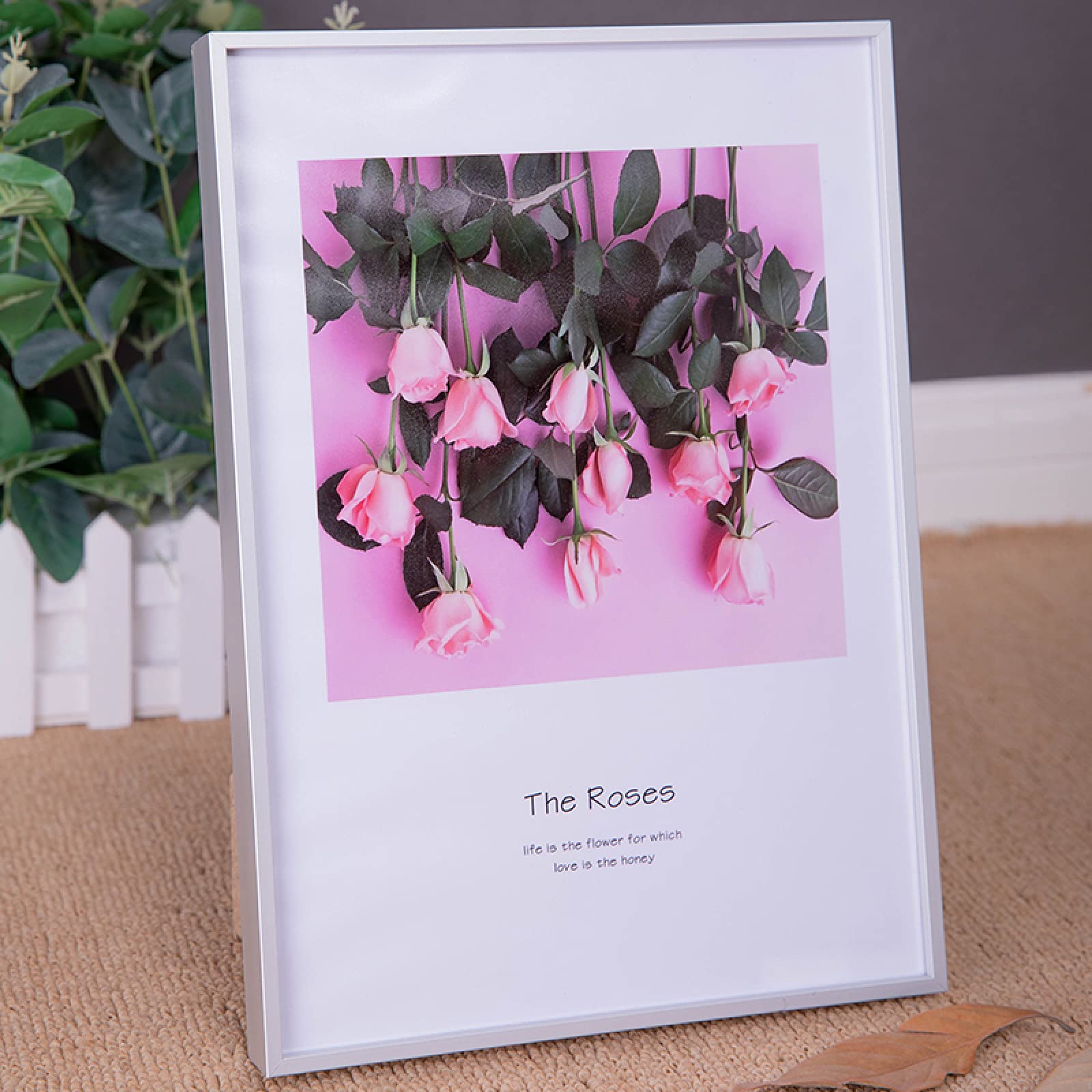 MEYYY A5 Poster Photo Frame - Silver Certificate Picture Frames for Wall Mounting, 14.8x21cm (5.8x8.3 Inches) - Perfect for Displaying Diplomas, Certificates, and Artwork in Home, Office, or Gallery