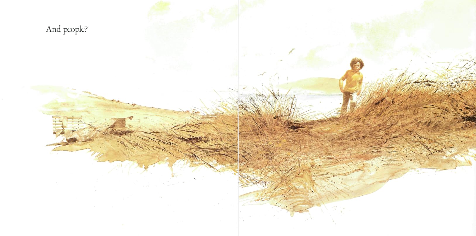 Lifetimes: A Beautiful Children's Book About Death and Loss - Perfect for Explaining Grief to Kids at Home or in School