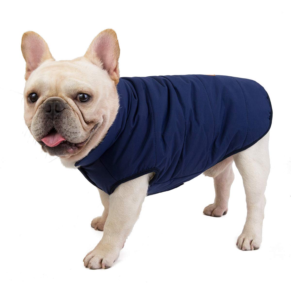 **Izefia Windproof Fleece Dog Coat - Warm Winter Jacket for Small & Medium Dogs & Cats - Bulldog, Cold Weather Protection for Outdoor Walks & Adventures**