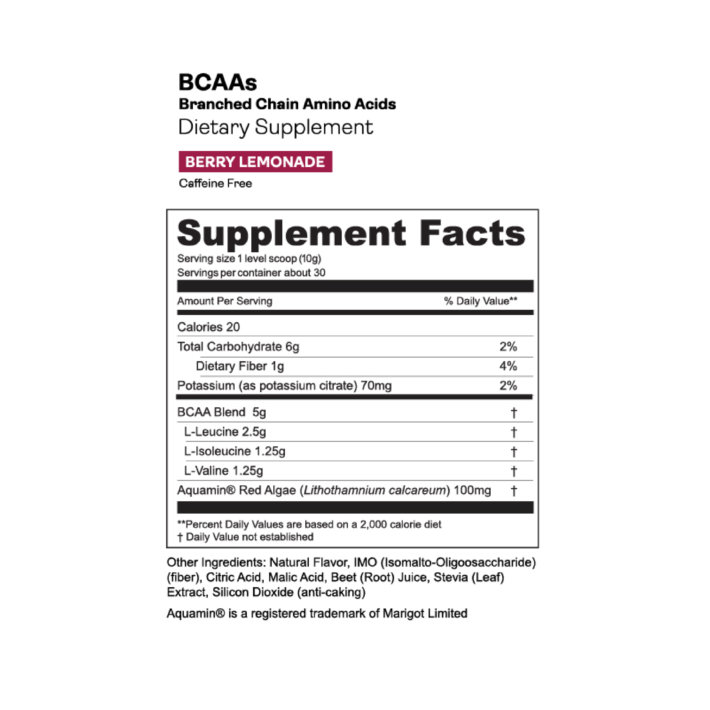 Best Vegan BCAA Powder for Muscle Recovery & Endurance - Plant-Based Branched Chain Amino Acids Supplement for Athletes & Fitness Enthusiasts - Pre & Post Workout, Gym & Sports Nutrition