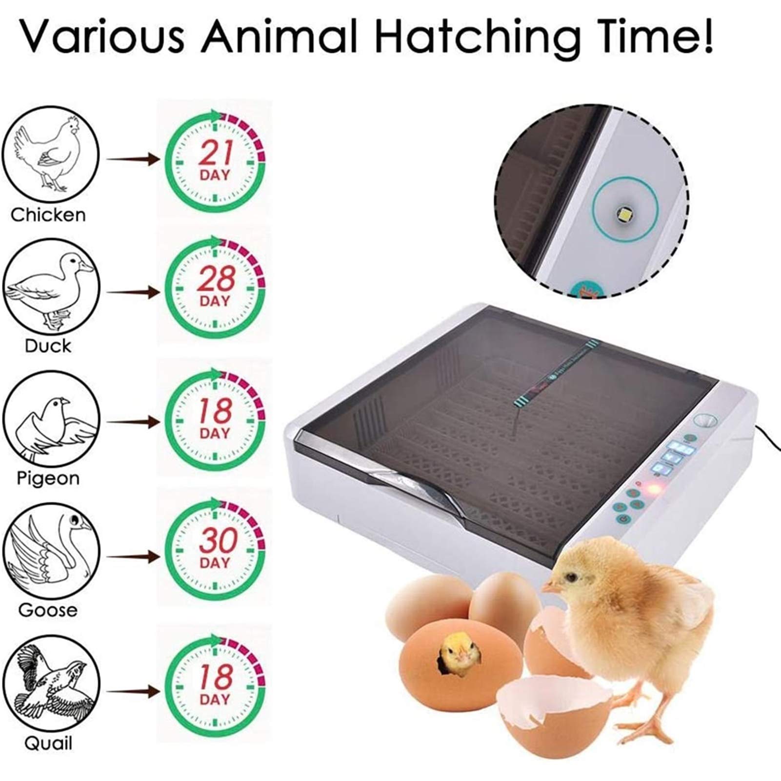 36 Egg Digital Incubator with Automatic Turning & Temperature Control - LED Egg Candler for Hatching Chicken, Duck, Goose, Quail, Turkey - Perfect for Home Poultry Farming & Backyard Hatching Projects
