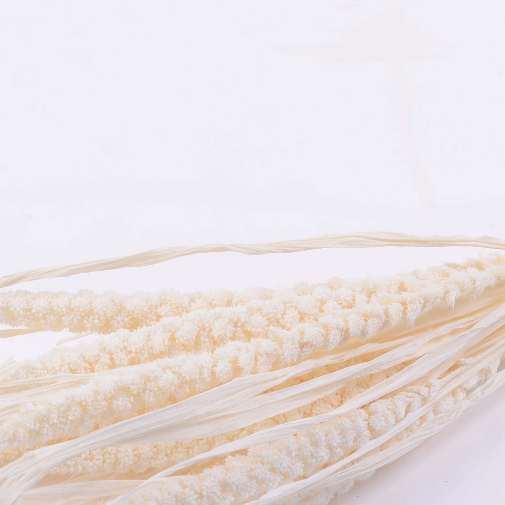 10 Pcs Natural Pampas Grass Bouquet - Dried Wheat Stems for Wedding Decor, Home Vase Filler, Table Centerpiece & Photography Props - Perfect for Boho Wedding, Farmhouse Decor & Fall Home Decorating