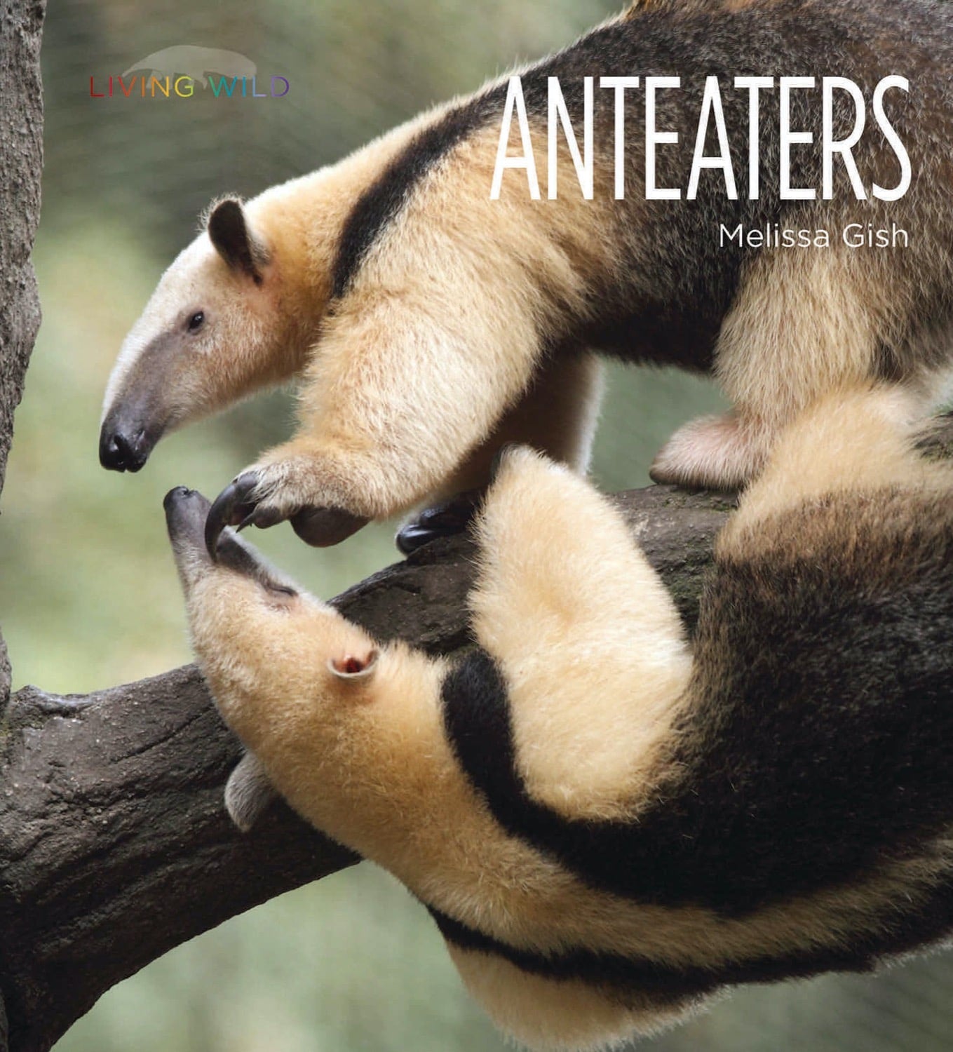 Anteaters Book - ISBN 9781608189557 - Perfect for Animal Lovers & Nature Enthusiasts
