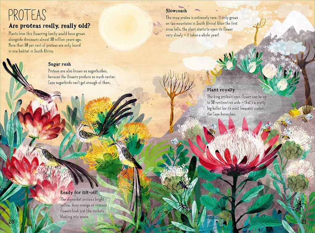 The Big Book of Blooms: Comprehensive Guide to Flowers - Perfect for Gardening Enthusiasts, Home Decor & Gift Ideas