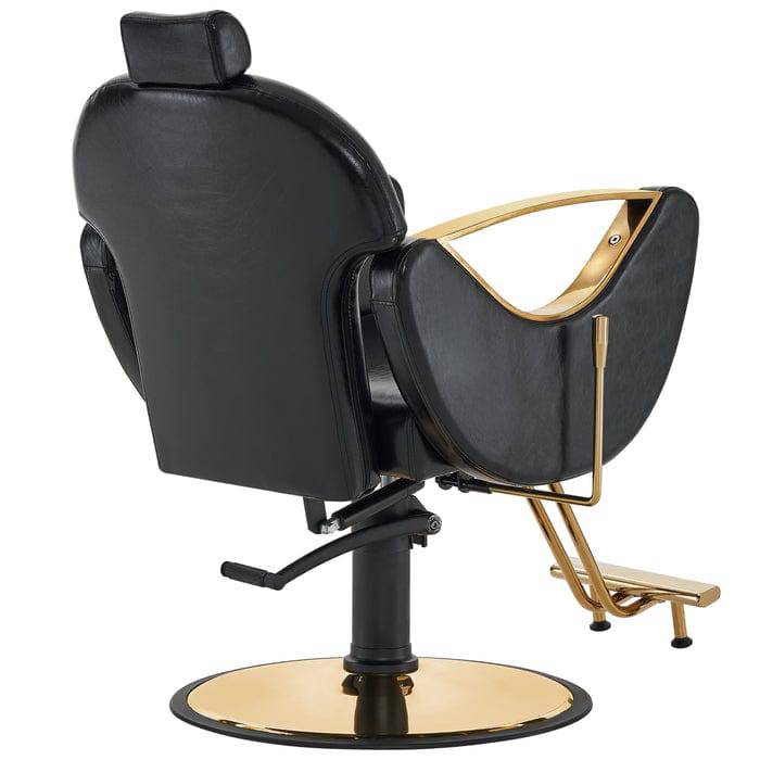 Gabriel Barber Chair - Professional Adjustable Salon Styling Chair for Hairdressers & Barbers - Perfect for Home & Salon Use