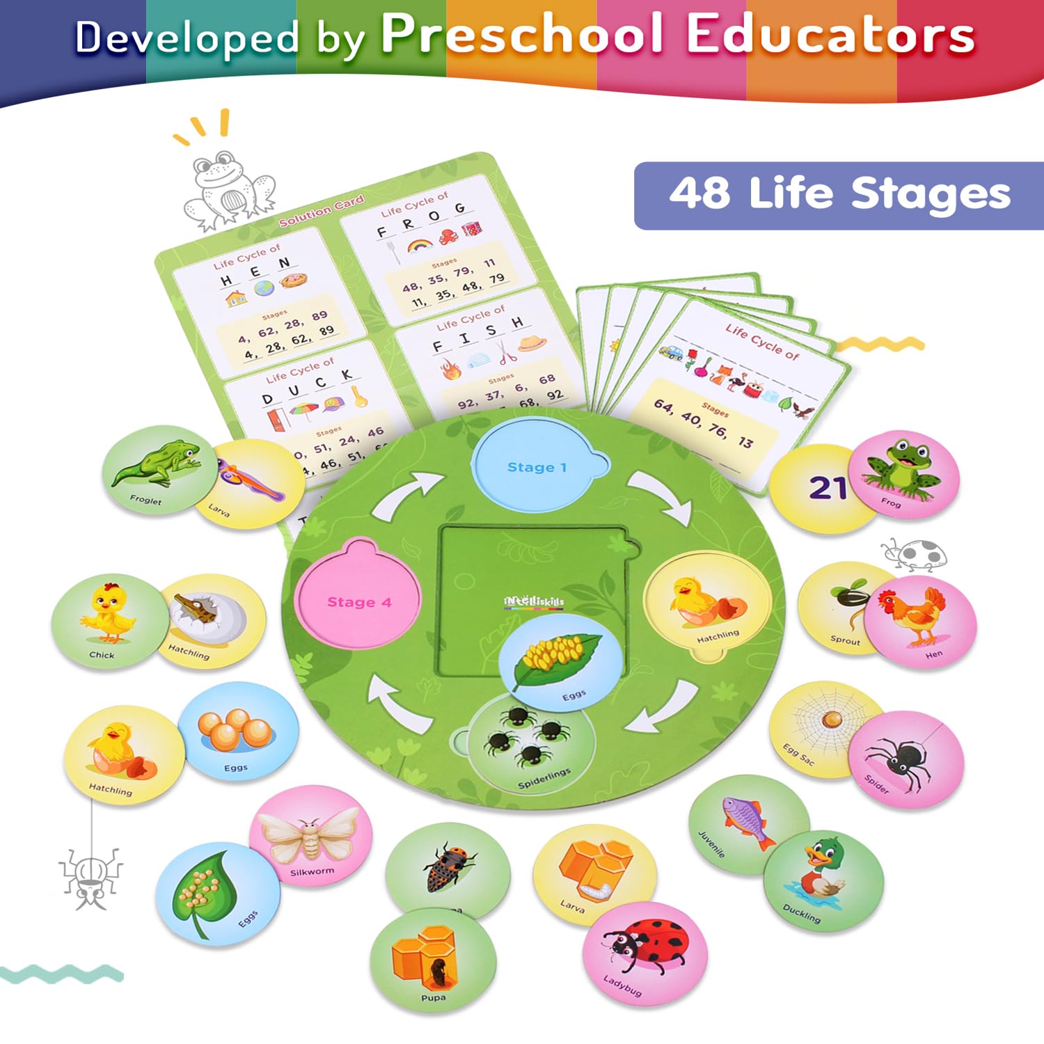 FIRSTCRY INTELLISKILLS Premium 63-Piece Life Cycle Puzzle for Kids - Educational Toy for Learning 12 Birds, Insects & Animals Life Cycles - Montessori Preschool Learning Game for Boys & Girls Ages 3+ | Perfect for Homeschooling, Classroom Activities & Birthday Gifts
