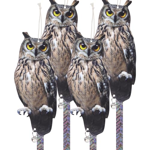 Amazed Eagle 4pcs