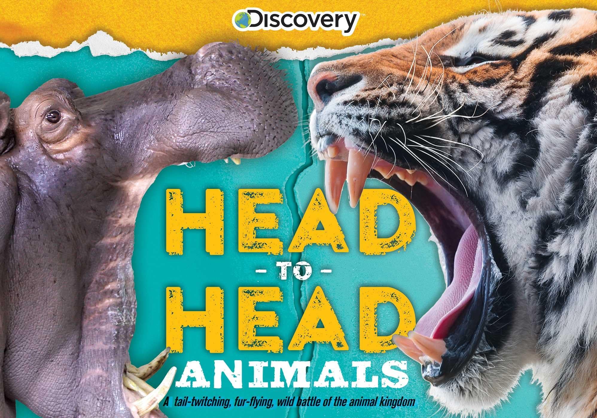 Discovery: Head-to-Head Animal Battles - Epic Wildlife Showdowns for Kids & Adults | Perfect for Classroom Learning & Family Game Nights