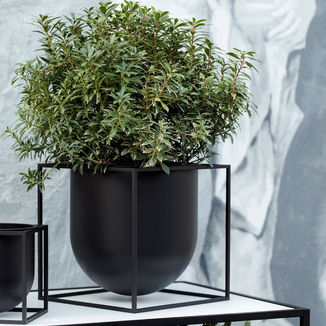 Soren Lassen Kubus Flowerpot - Modern Square Planter for Indoor Plants - Perfect for Home, Office & Garden Decor