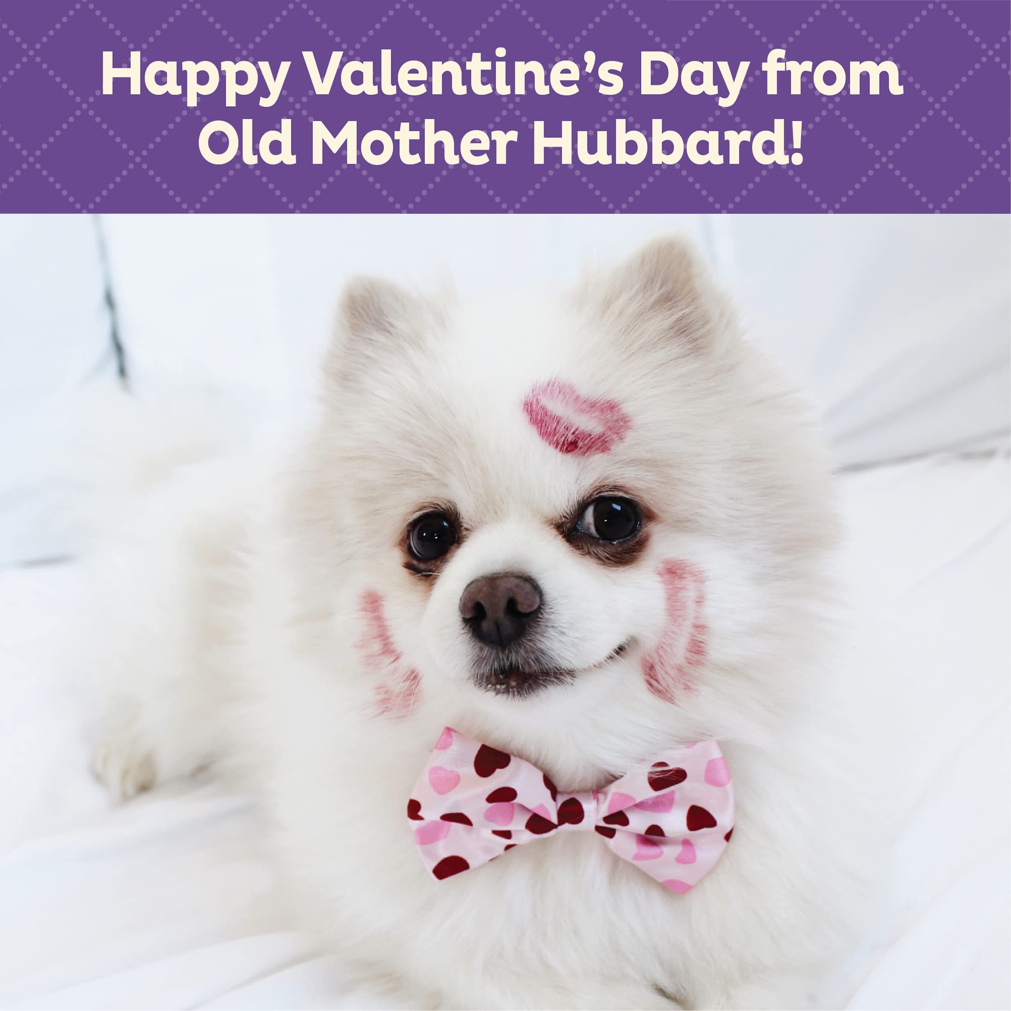 Old Mother Hubbard Wellness Bits of Love P-Nuttier Natural Peanut Butter Dog Treats - 6oz Bag | Healthy Valentine's Day Dog Biscuits | Grain-Free Training Rewards for Small & Large Dogs | Perfect for Special Occasions, Birthday Gifts & Daily Snacks