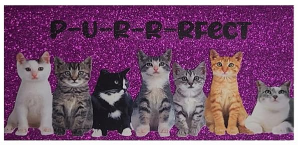 Cat Kitten Purple Plum