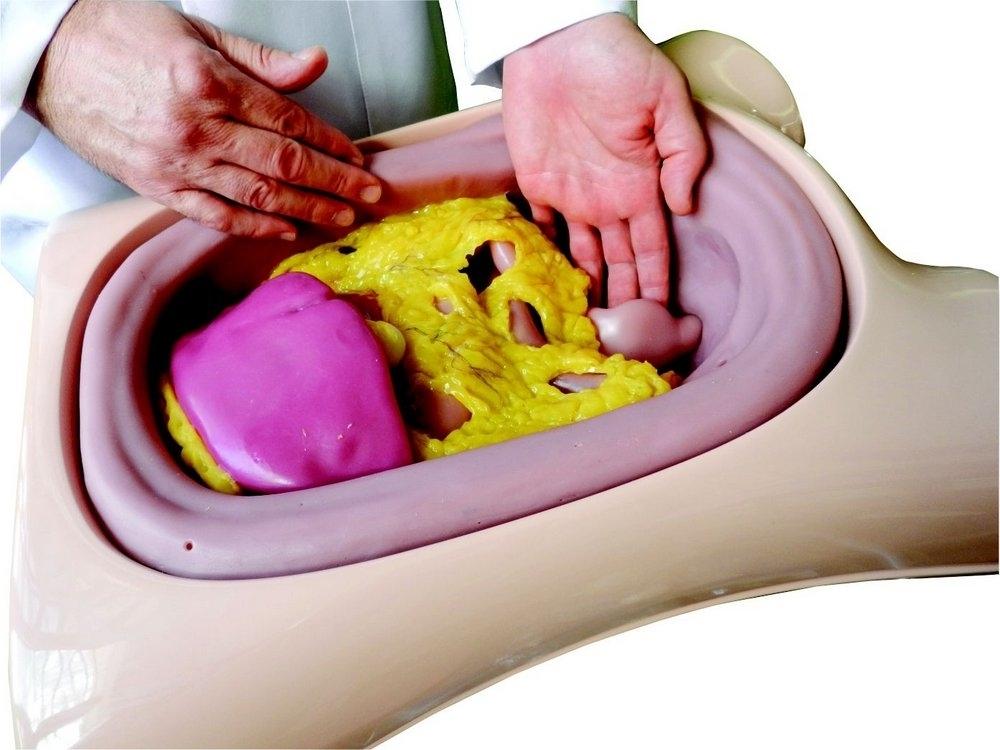 EndoSurgical Laparoscopic Surgery Simulator - Professional Medical Training Equipment for Surgeons | Practice Minimally Invasive Techniques | Ideal for Medical Schools & Residency Programs