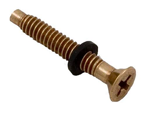 Pentair 79104800 Replacement Brass Pilot Screws with Gum Washers for Pool Light - Durable Pool Maintenance Parts for Inground & Above Ground Pools