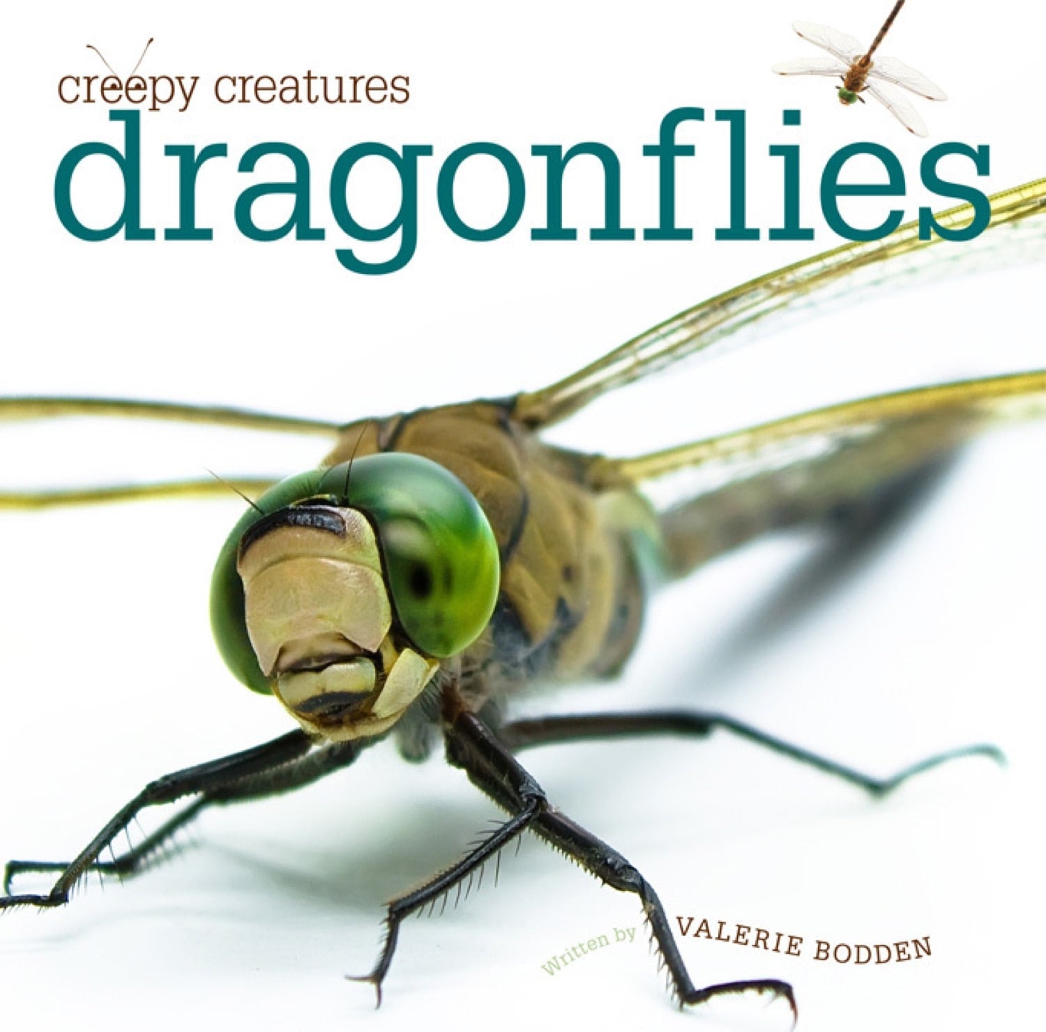 Dragonflies Book - ISBN 9781608183548 - Perfect for Nature Lovers & Insect Enthusiasts | Great for Educational Reading & Gift Giving