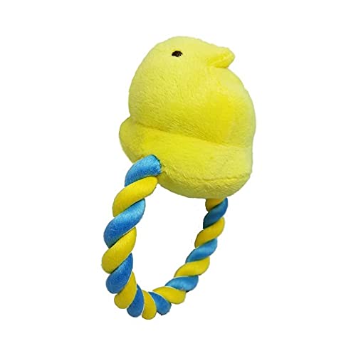 Yellow Chick