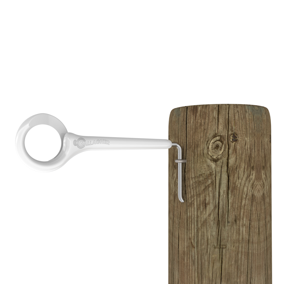 Gallagher Side Mount Ring Top™ Offset - Pack of 5 | Durable Horse Halter Hardware for Trail Riding & Stable Use