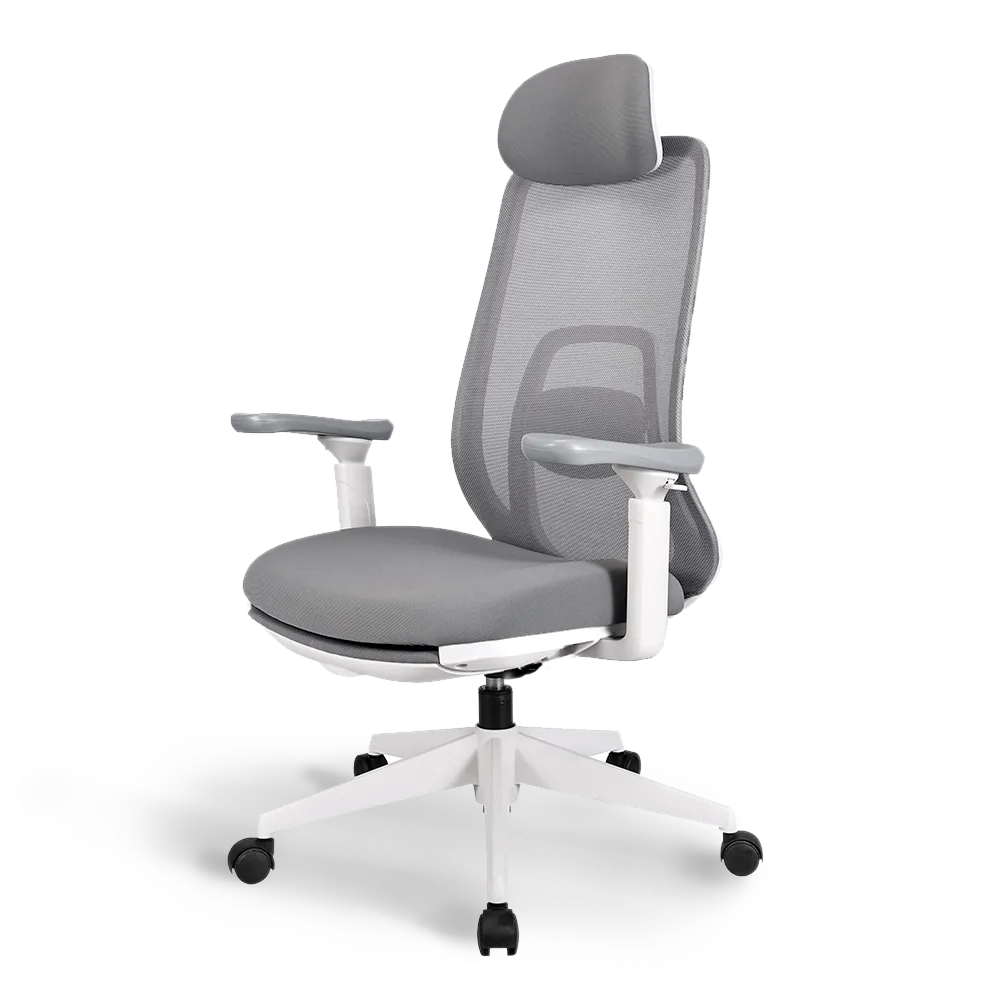 Pluto Ergonomic Office Chair - Adjustable Lumbar Support & Breathable Mesh Back - Perfect for Home Office, Gaming & Workspace