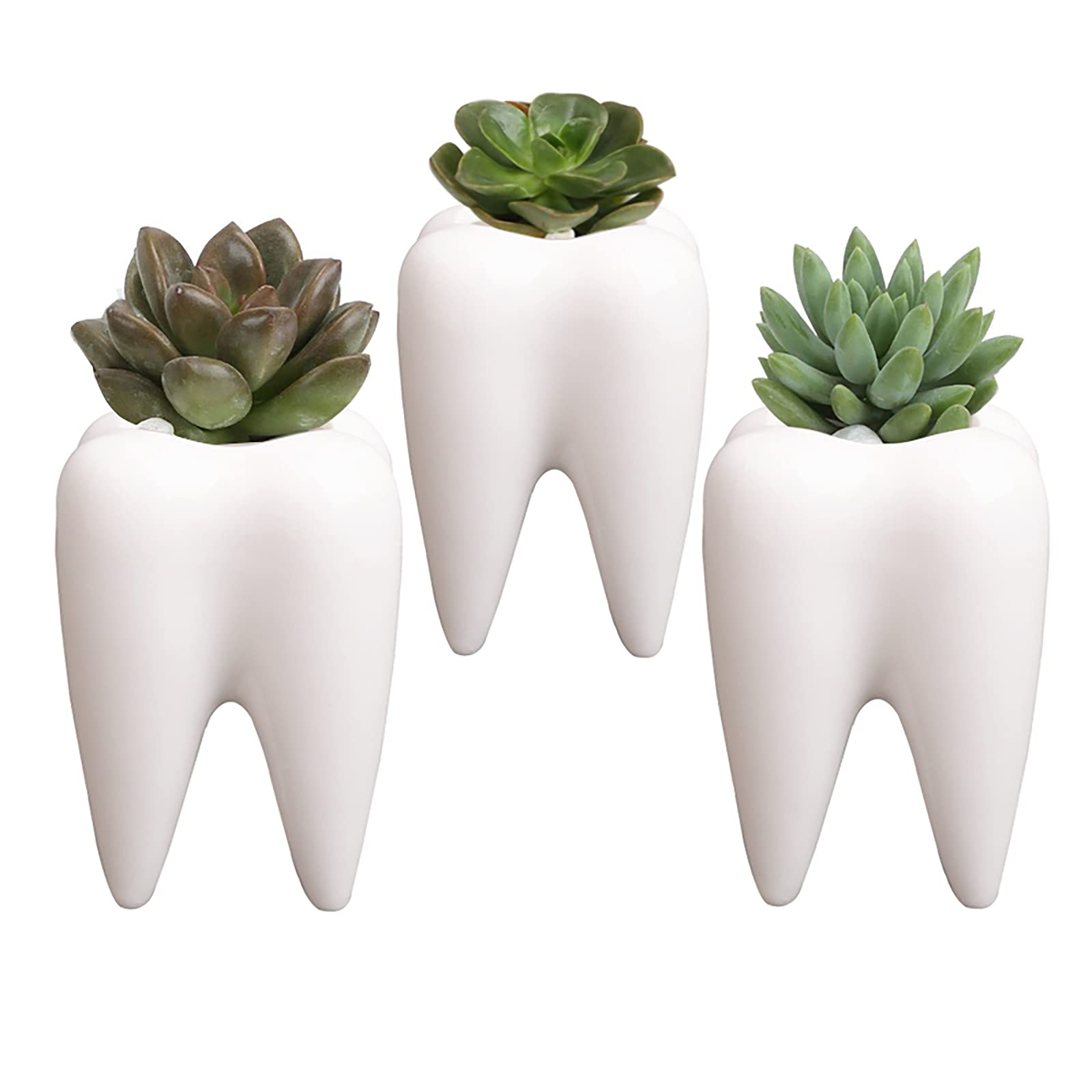 Cute Tooth-Shaped White Ceramic Succulent Planter - Small Cactus Pot & Flower Vase for Home Decor, Creative Pen/Pencil Holder for Office Desk - Perfect for Windowsills, Shelves & Gift Giving (Plants Not Included)