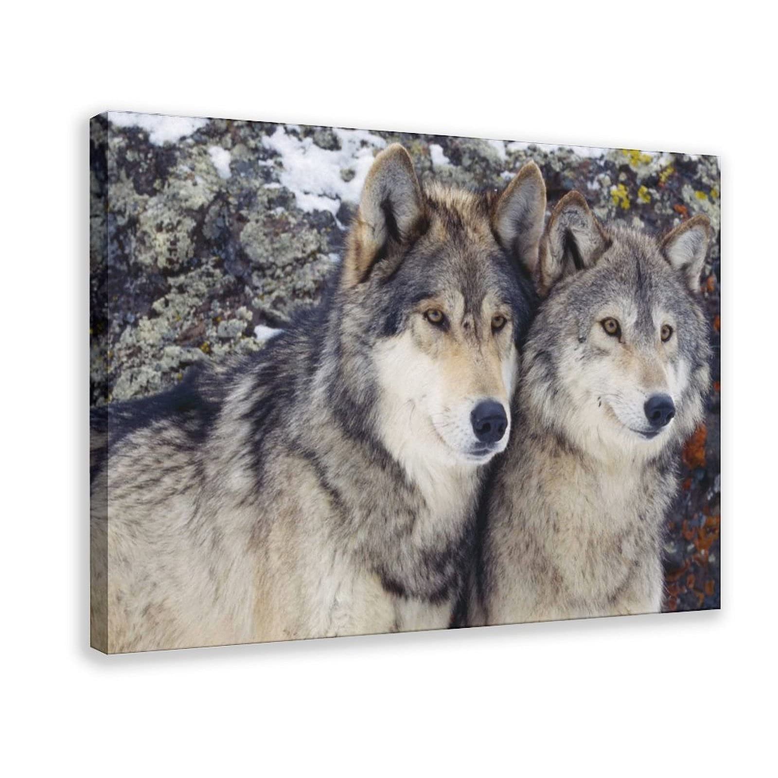 Two Wolves in The Forest Canvas Wall Art - 16x24 Inch (40x60cm) Framed Poster for Bedroom, Office & Sports Room Decor - Perfect Gift for Nature Lovers & Wildlife Enthusiasts - Ideal for Home, Office, or Cabin Decor