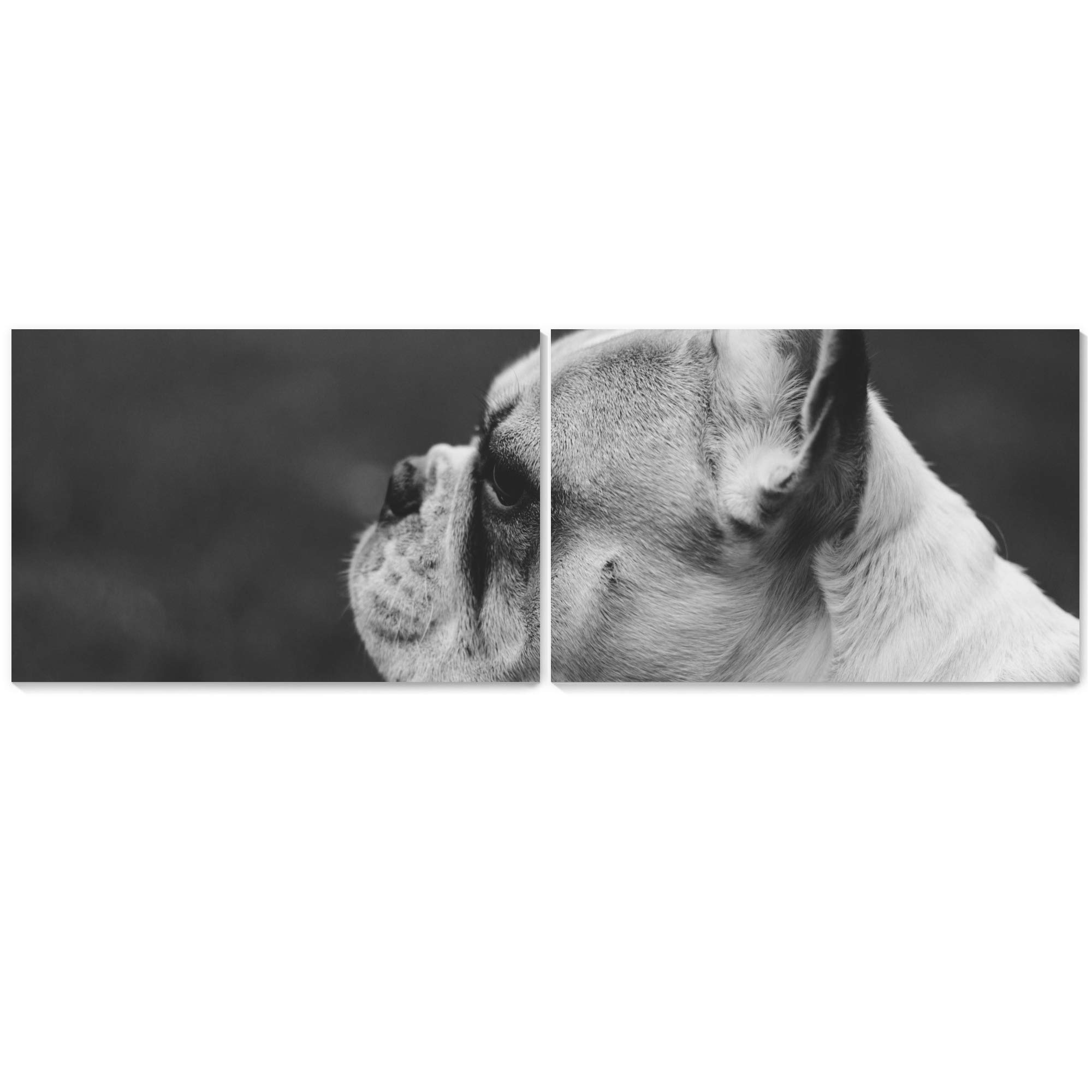 2-Panel Modern Black and White French Bulldog Canvas Wall Art Set - 24