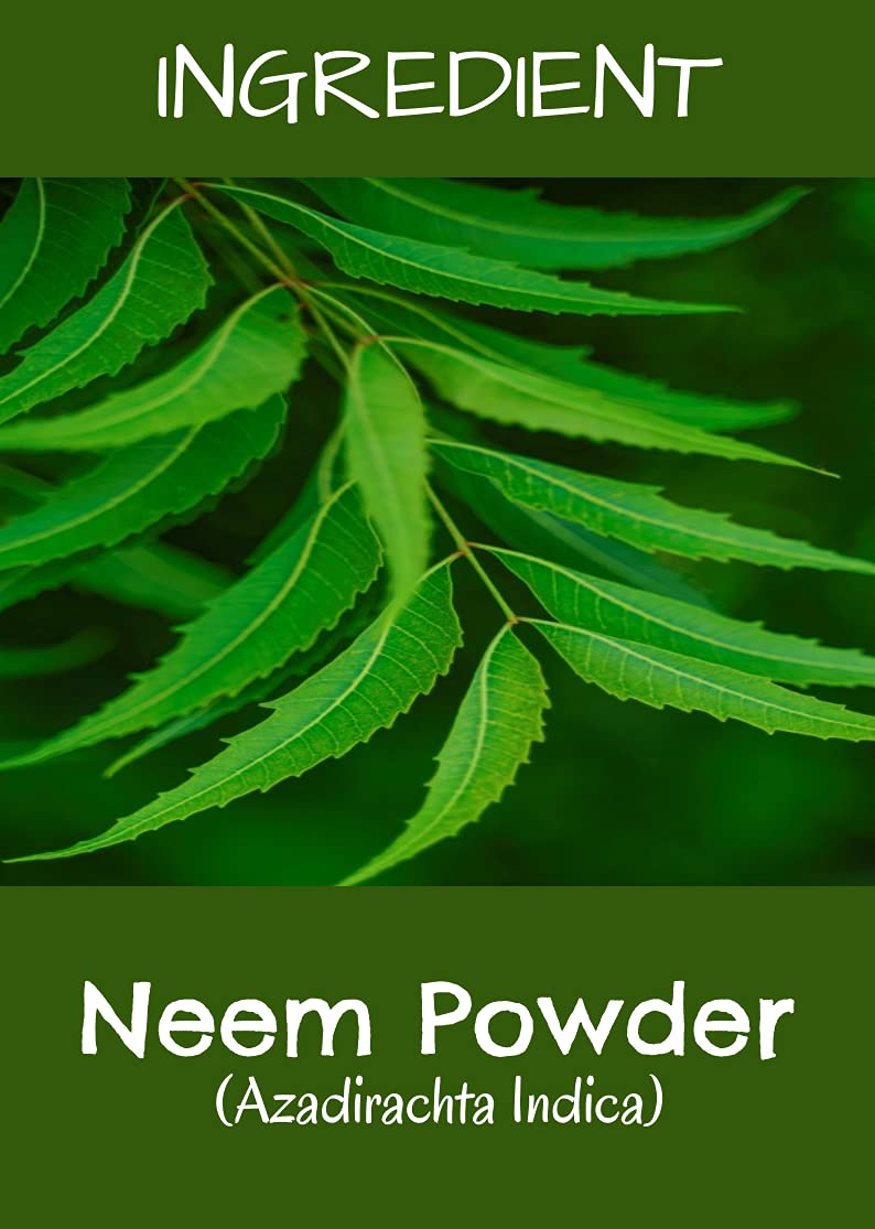MR Ayurveda 100% Natural Neem Powder for Face, Hair & Skin Care | Organic Neem Face Pack | Chemical-Free Herbal Treatment | Set of 2 (200g) | Perfect for Acne, Dandruff & Skin Detox