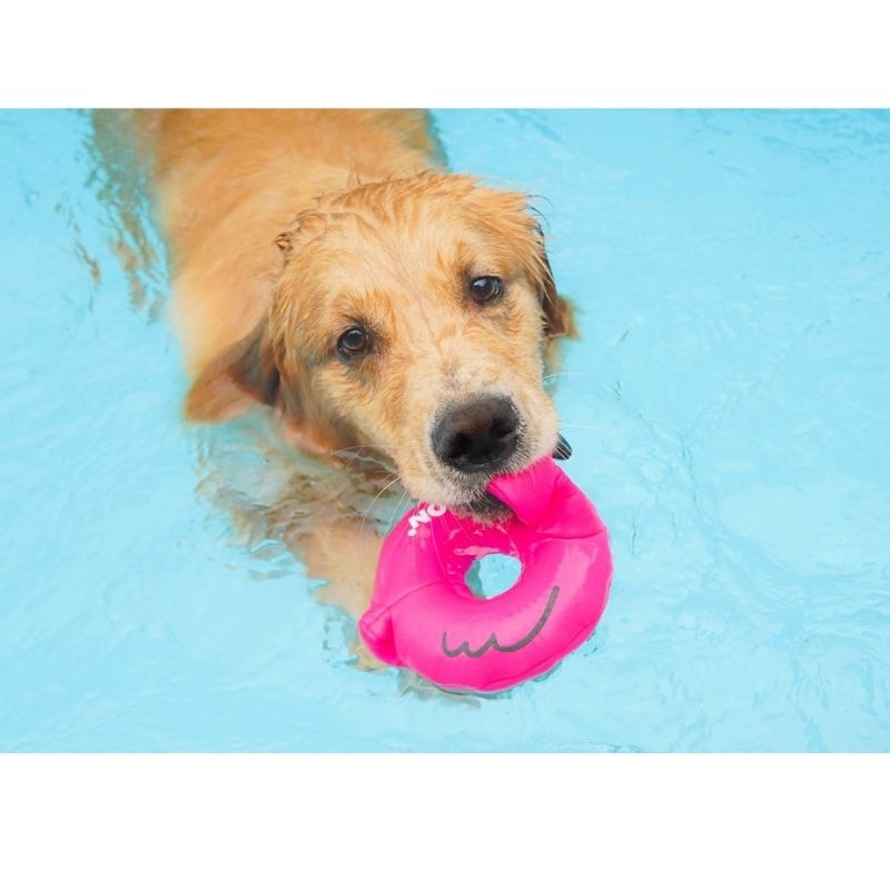 Inflatable Flamingo Pool Float with Bacon Print - Fun Water Toy for Summer Parties, Beach & Pool Relaxation