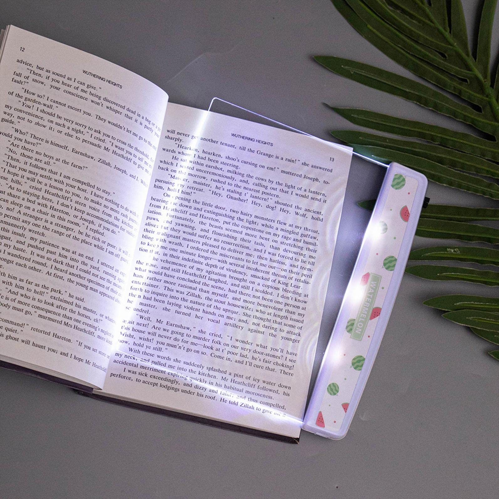 LED Reading Light for Books in Bed - Bright Book Light with Eye Protection, Portable Page Glow Lamp for Night Reading, Perfect Gift for Book Lovers & Students (Ideal for Bedtime Reading, Travel & Study)