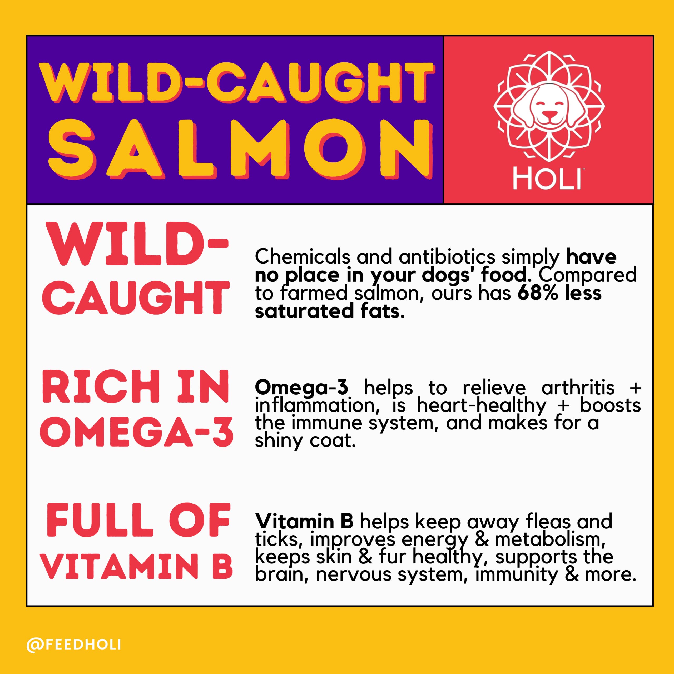 Premium Freeze Dried Salmon Dog Treats with Omega 3 & 6 Fish Oil | All Natural, Human-Grade, Wild Caught Salmon | Grain Free, Diabetic Friendly | Made in USA | Perfect for Training Rewards & Dental Health