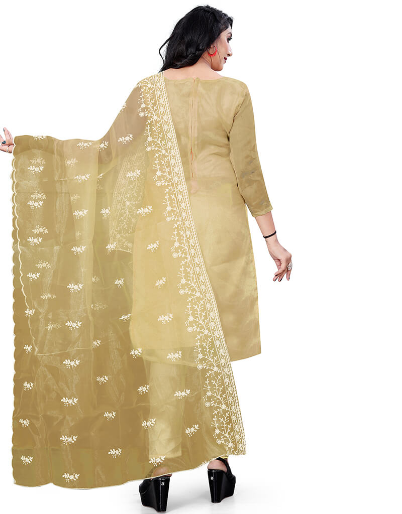 Elegant Beige Organza Pant Salwar Suit for Women - Traditional Indian Ethnic Wear for Weddings, Festivals & Special Occasions