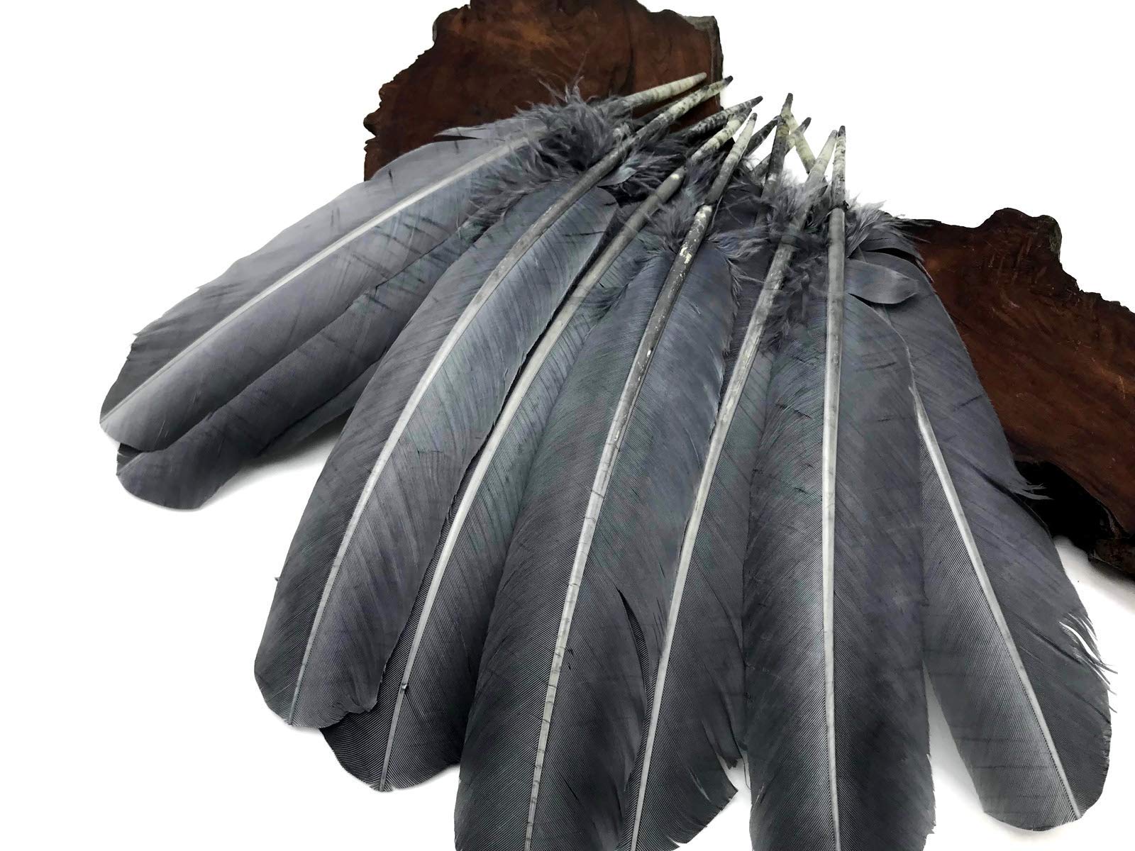 1 Lb. Silver Gray Turkey Tom Rounds Secondary Wing Quill Feathers - Bulk Wholesale for Halloween Crafts, Costume Design & DIY Decor | Moonlight Feather | Perfect for Dreamcatchers, Jewelry Making & Home Decor