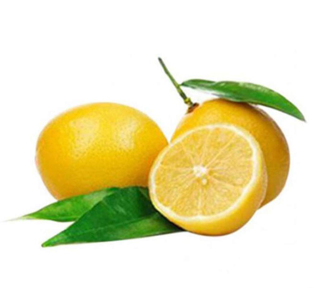 20pcs Lemon Tree Seeds - High Survival Rate Fruit Plants for Home Garden, Backyard Planting | Grow Fresh Lemons for Cooking, Drinks & DIY Projects