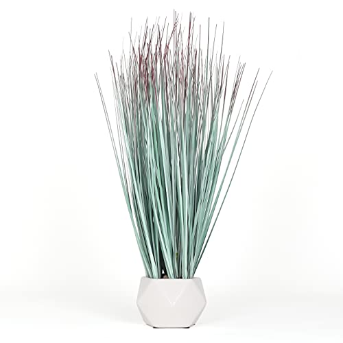 Wintergreen Grass (White Planter)