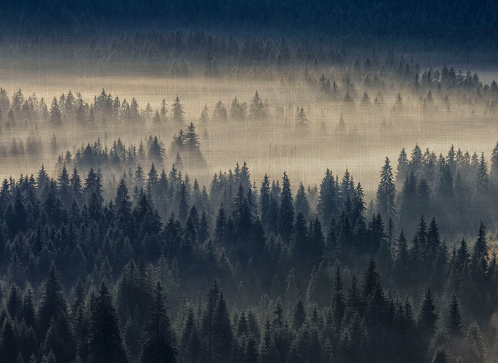 Designwalls 2 Forest in Fog Canvas Wall Art - Nature Landscape Painting for Home & Office Decor - Perfect for Living Room, Bedroom or Office Wall Decor