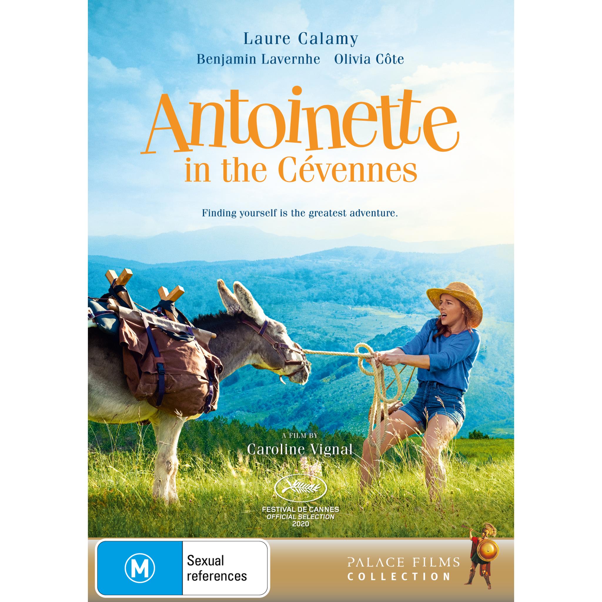 Antoinette in the Cevennes - French Inspired Women's Fashion Dress for Casual & Special Occasions | Perfect for Weddings, Parties & Romantic Getaways