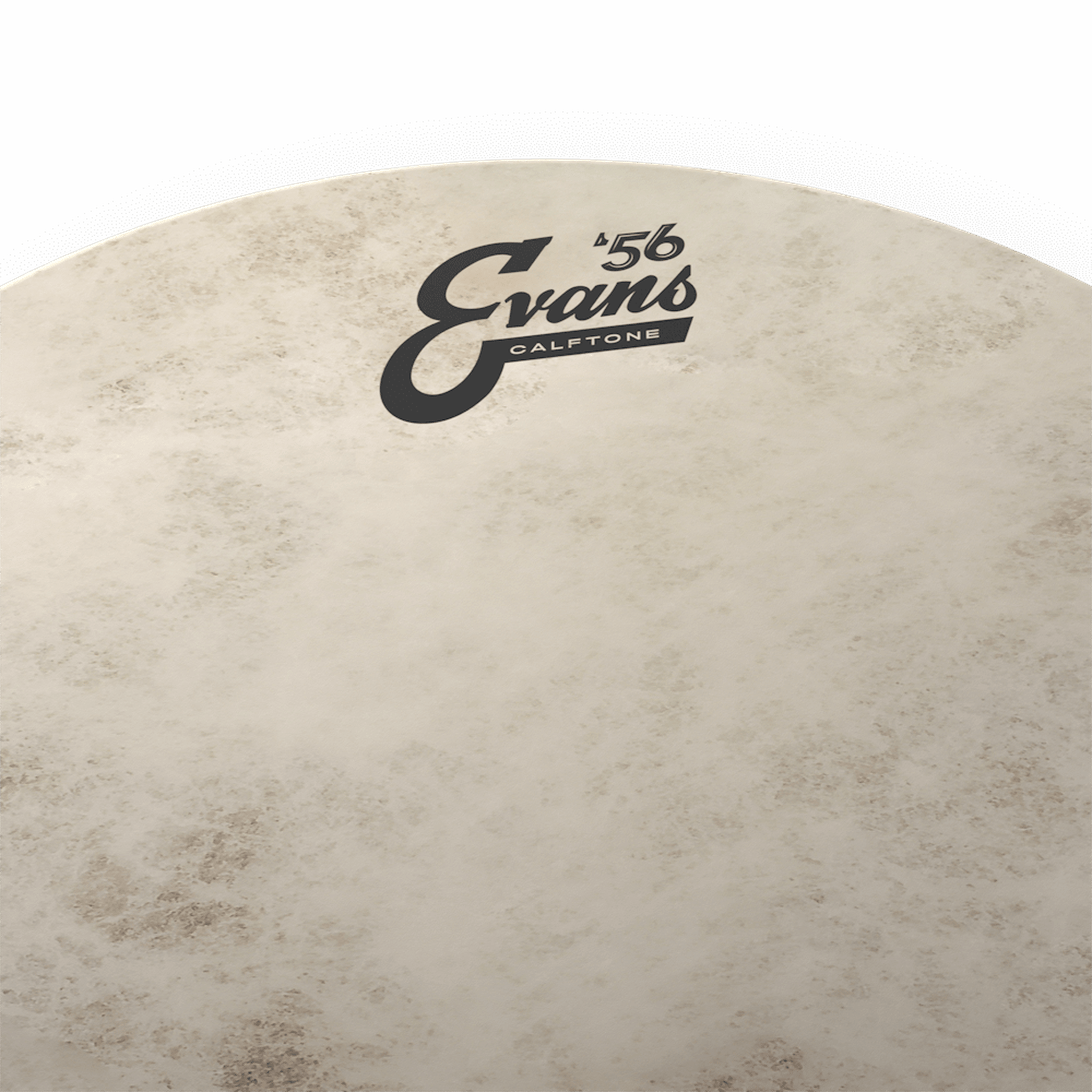 EVANS CALFTONE TOM BATTER Drum Head - 10 Inch Premium Drum Skin for Jazz, Blues & Studio Recording | Perfect for Professional Drummers & Home Studios