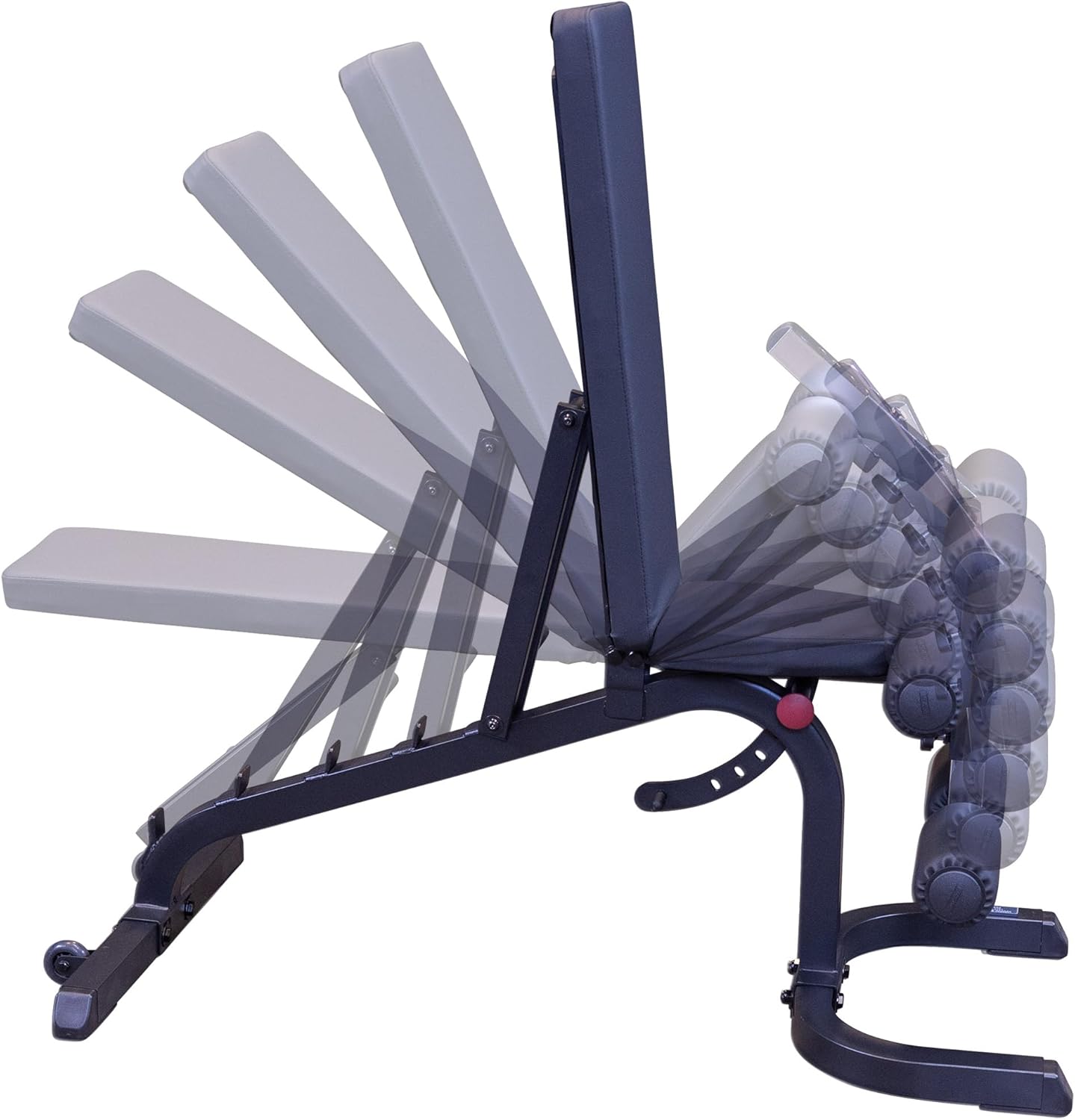 Body Solid GFID31 Adjustable Weight Bench with Optional Attachments - Perfect for Home Gym Strength Training & Workouts